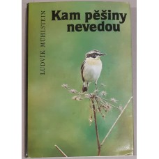 Ludvík Mühlstein - Kam pěšiny nevedou